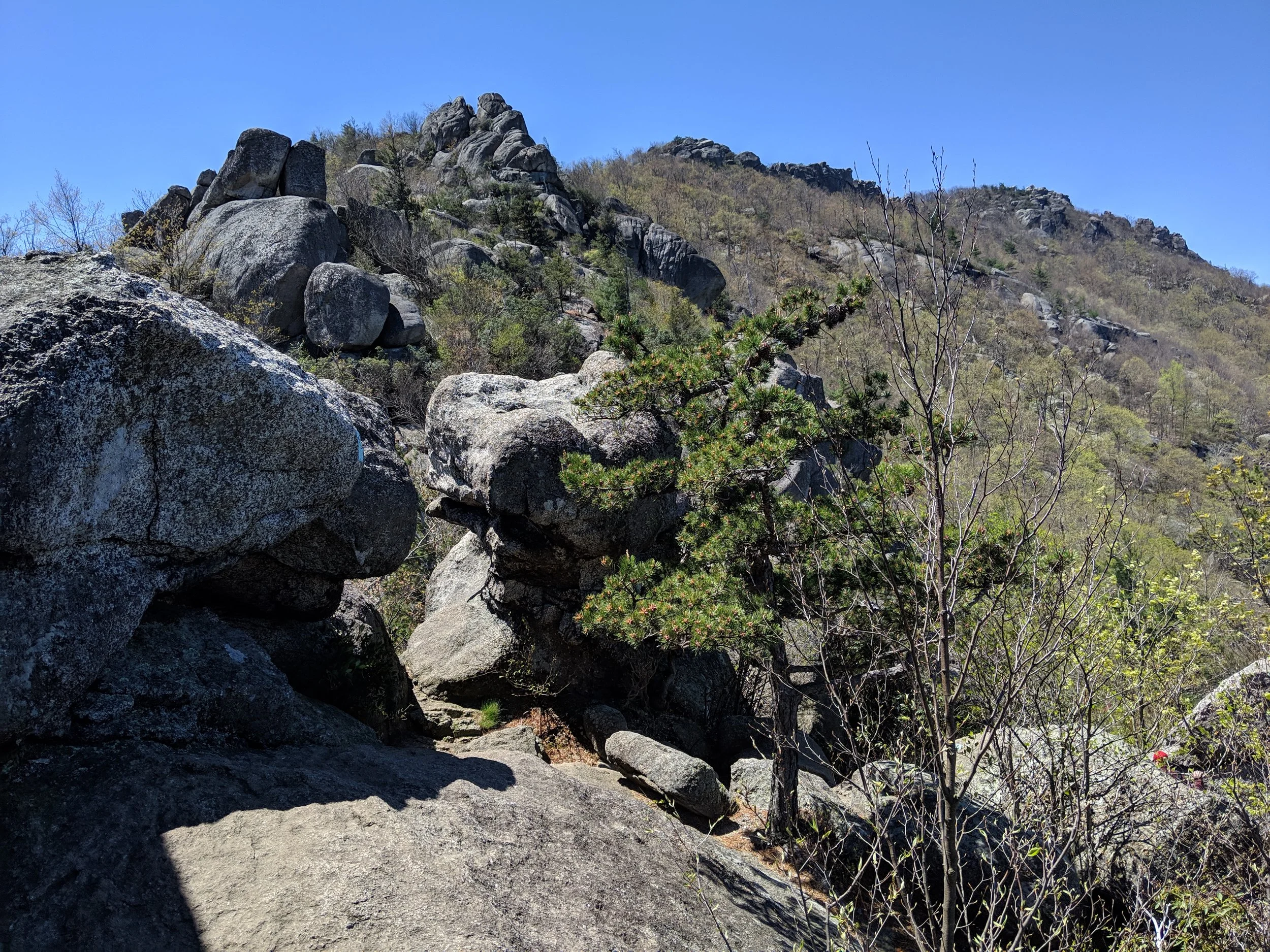 Camping near hot sale old rag mountain
